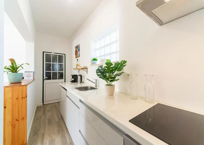 Rural In Netos-almagreira With Shared Pool Tatil Evi Lagares (Leiria)